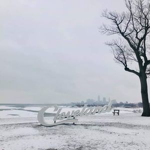 Meet your Posher, Mohammed